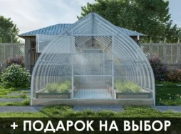 Теплица «КУПОЛЬНАЯ» 3м